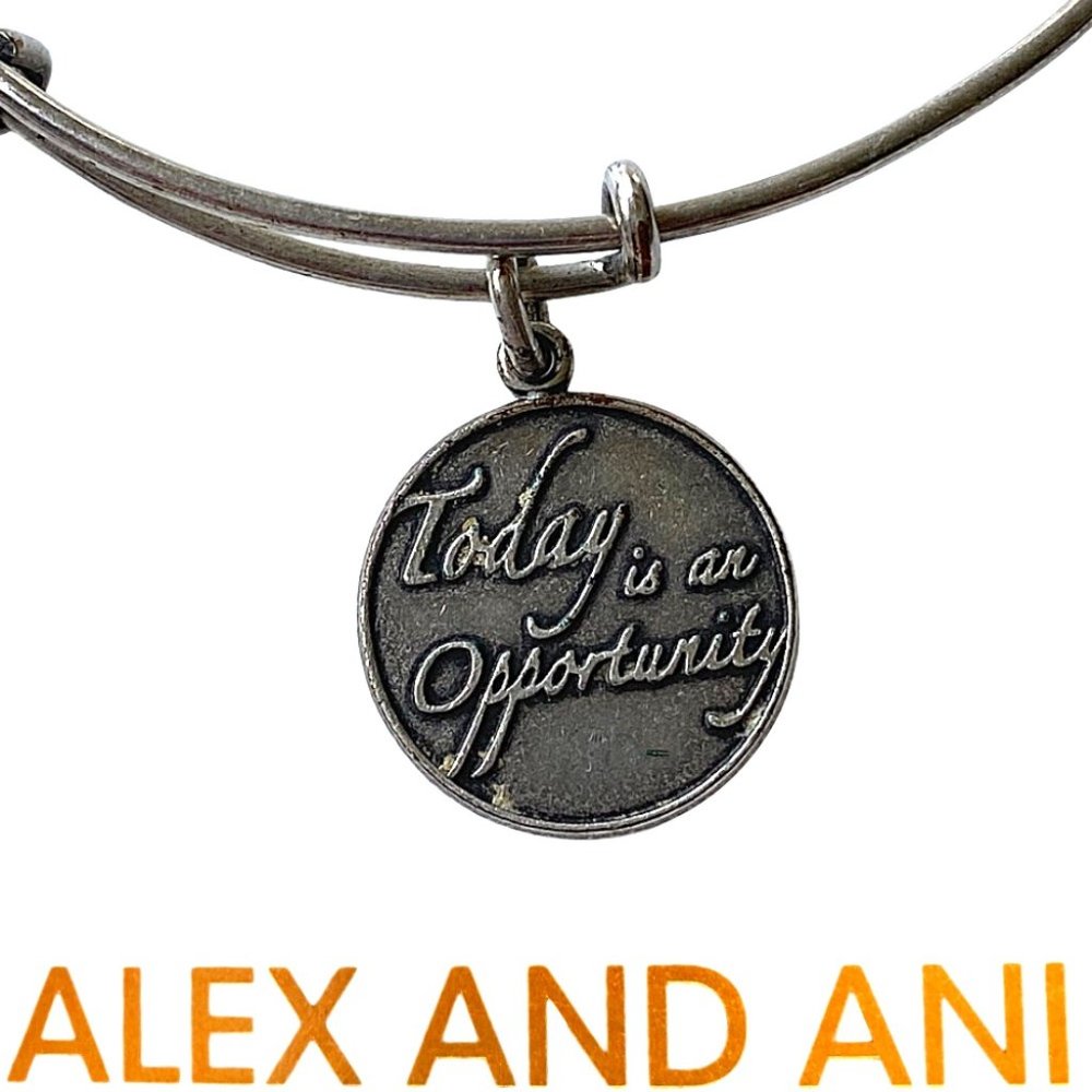 Alex and Ani Today Is Opportunity Bangle Bracelet